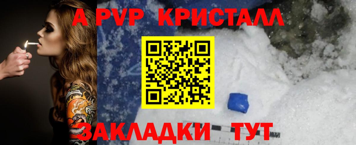 Альфа ПВП СК Мончегорск