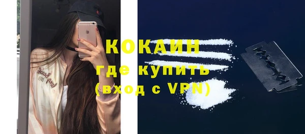 индика Дмитровск