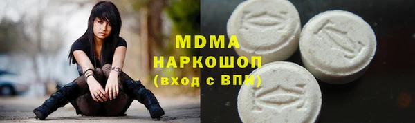 индика Дмитровск
