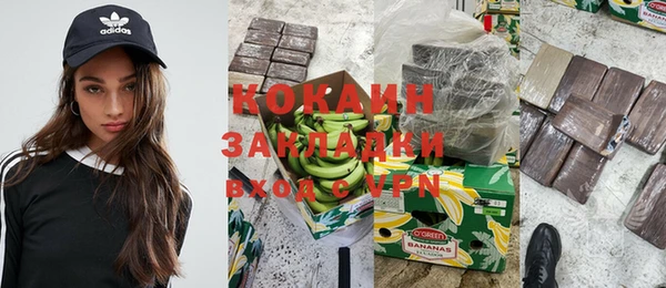 индика Дмитровск