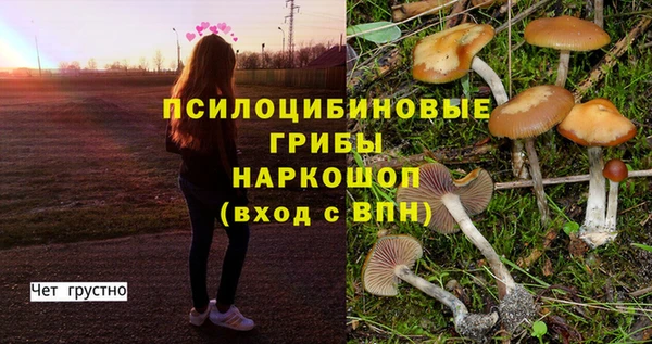 кокс Дмитров