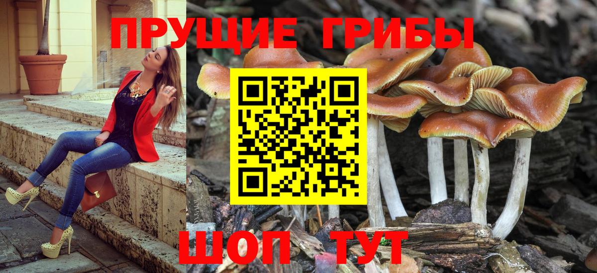 Галлюциногенные грибы мухоморы  Псилоцибиновые грибы GOLDEN TEACHER  Мончегорск  Вход с VPN 