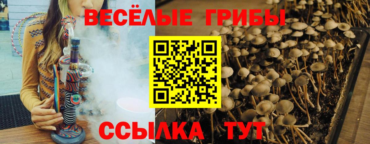Псилоцибиновые грибы ЛСД Мончегорск